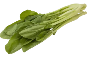 Choy Sam